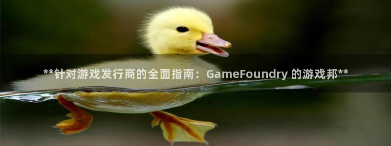 蓝狮子文化创意加好友：**针对游戏发行商的全面指南：GameFoundry 的游戏邦**